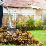 A kertészeti szezon lezárása: egy teljes lista arról, hogy mit kell októberben nyírni a-kerteszeti-szezon-lezarasa-egy-teljes-lista-arrol-hogy-mit.webp.webp